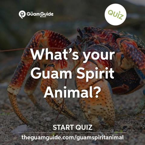 What is your Guam Spirit Animal?