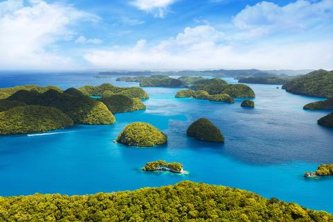 Taking a Plunge In Perfect Palau