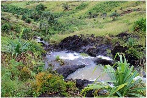 Guam Hikes: Priest's Pools